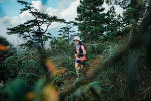 BIB: 
                            <button type="button" onclick="openModal(25259257)" class="btn btn-primary btn-sm float-right btn-popup" data-toggle="modal" data-target=".modal-high-quality">
                        <i class="fas fa-shopping-cart"></i> Add to Cart
                    </button>
                                            <button type="button" onclick="isThisMe(25259257, true)" class="btn btn-success btn-sm float-right btn-popup btn-isme hidden" data-toggle="tooltip" data-placement="bottom" title="นี่คือรูปของคุณใช่ไหม คลิกที่นี่เพื่อเอาเข้าอัลบั้ม">
                        <i class="fas fa-plus"></i> Add to album
                    </button>
                    <button type="button" onclick="isThisMe(25259257, false)" class="btn btn-warning btn-sm float-right btn-popup btn-isnotme hidden">
                        <i class="fas fa-ban"></i> Remove from album
                    </button>